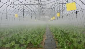 Aqua Point Perinthalmanna