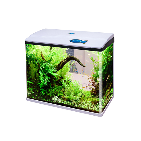 Aqua Point Perinthalmanna